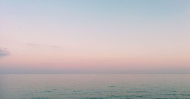 InBody Body Analysis